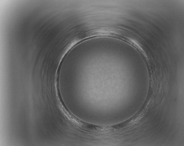 X0000058130899200509301950