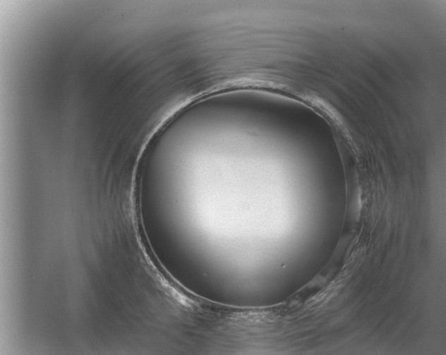 X0000058130902200509301949