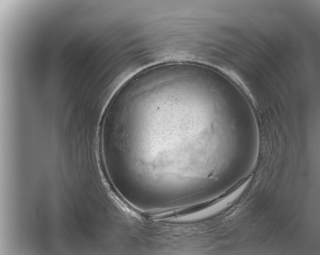 X0000058130903200509301949