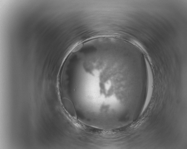 X0000058130907200509301949