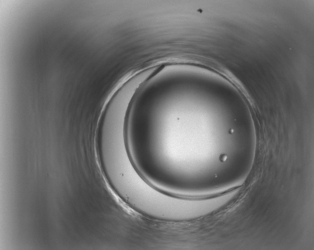 X0000058130909200509301949