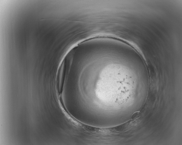 X0000058130911200509301949