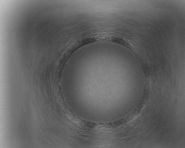 X0000058130913200509301948