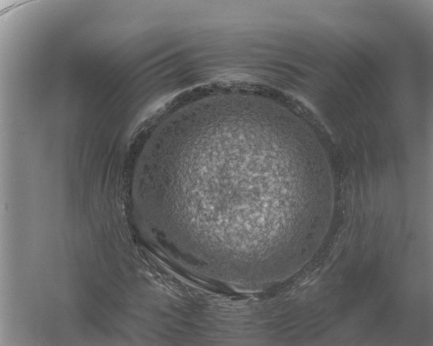 X0000058130919200509301949