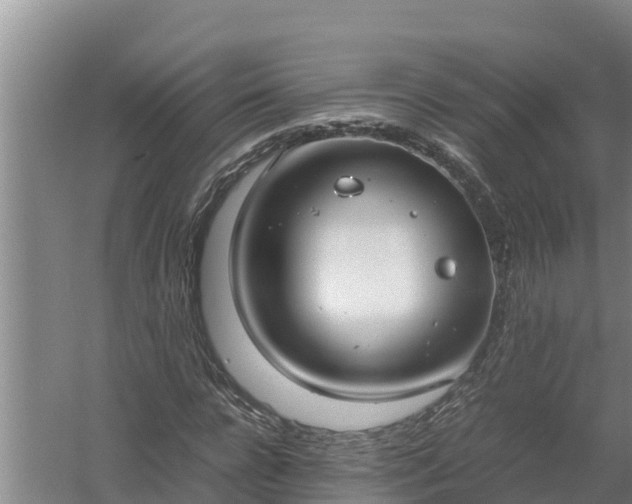 X0000058130920200509301949