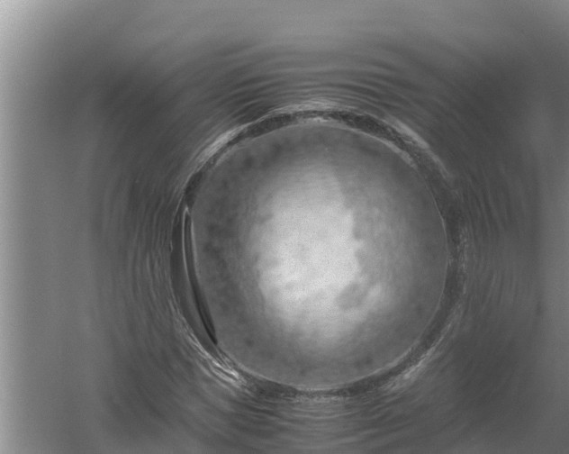 X0000058130921200509301949