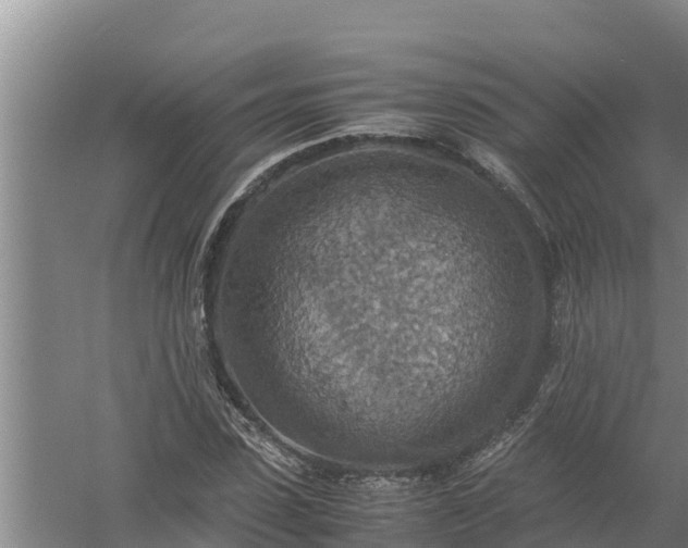 X0000058130923200509301949