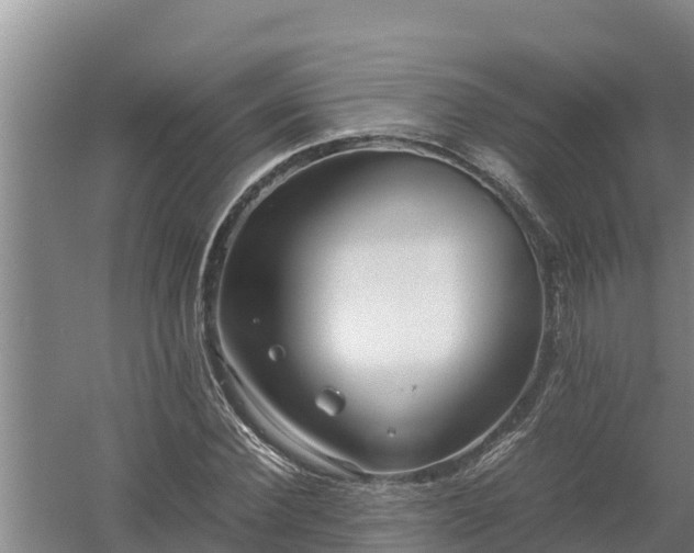 X0000058130924200509301949