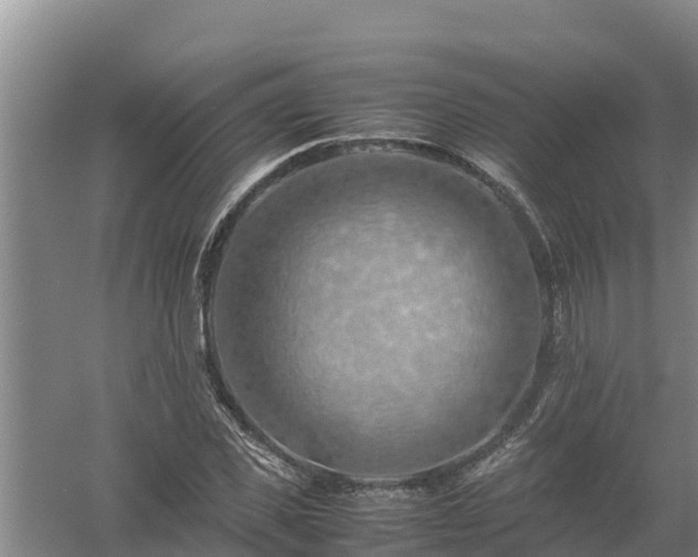 X0000058130925200509301949