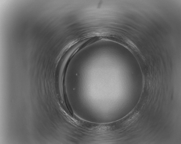 X0000058130930200509301949