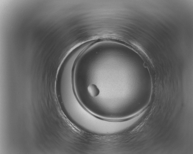 X0000058130932200509301949