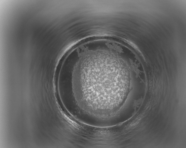 X0000058130935200509301949