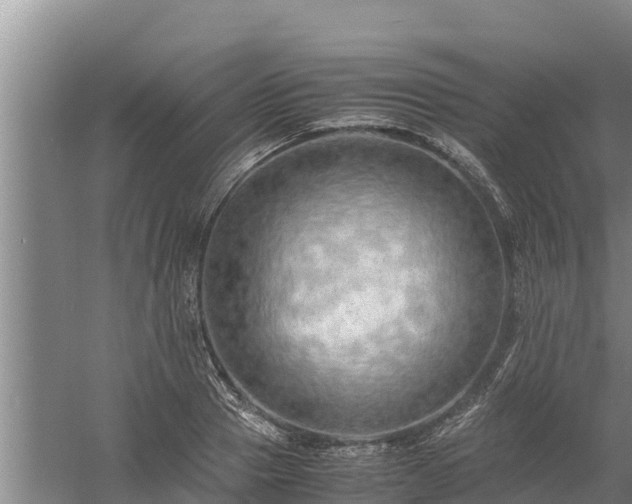 X0000058130937200509301949