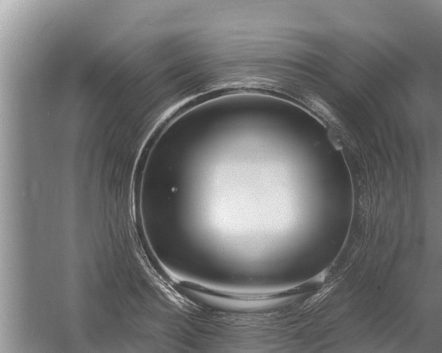 X0000058130940200509301949