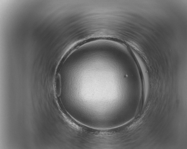 X0000058130942200509301949