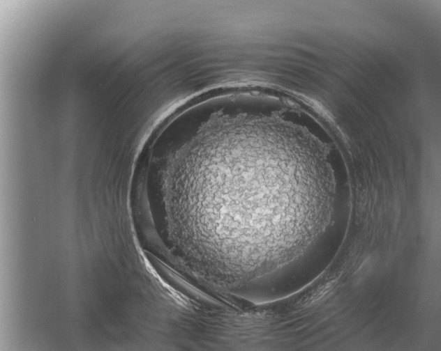 X0000058130943200509301949