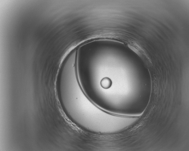 X0000058130944200509301949