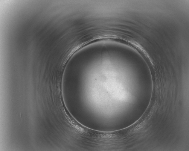 X0000058130945200509301949