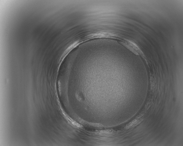 X0000058130946200509301949