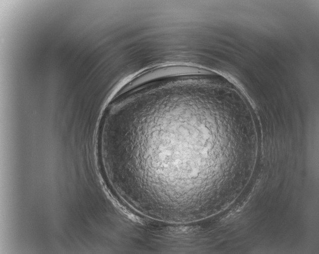 X0000058130949200509301949