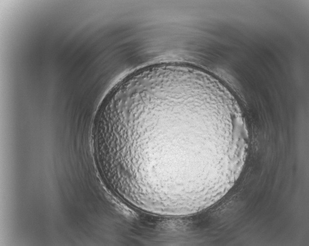 X0000058130950200509301949