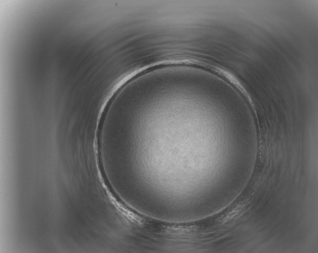 X0000058130951200509301949