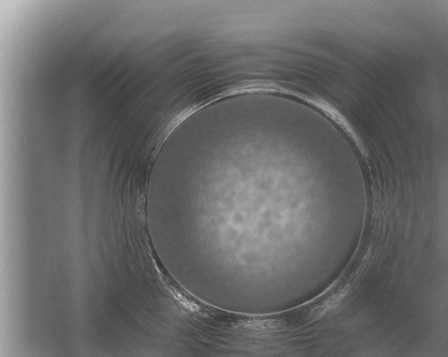 X0000058130953200509301949