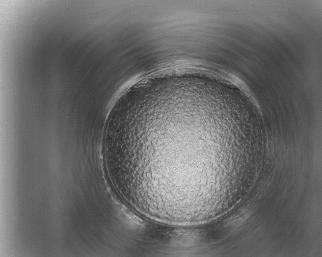 X0000058130954200509301949