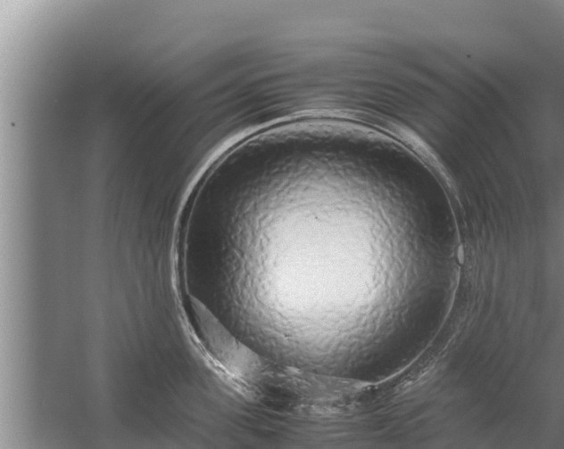 X0000058130955200509301949