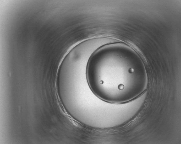 X0000058130956200509301949