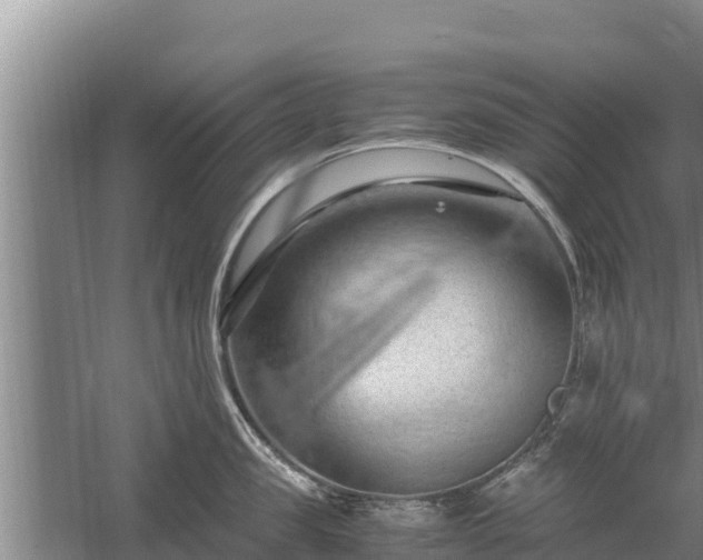 X0000058130957200509301949