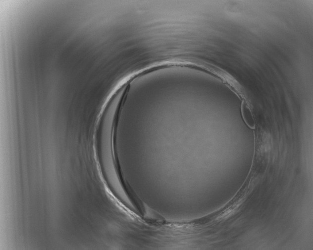 X0000058130958200509301949