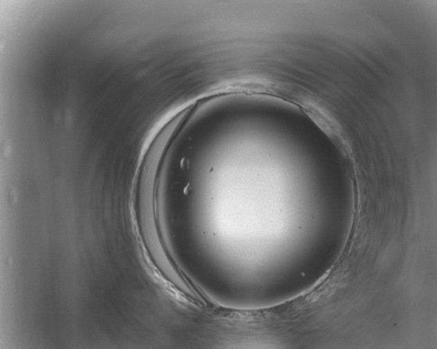 X0000058130960200509301949