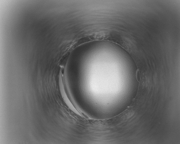 X0000058130962200509301948