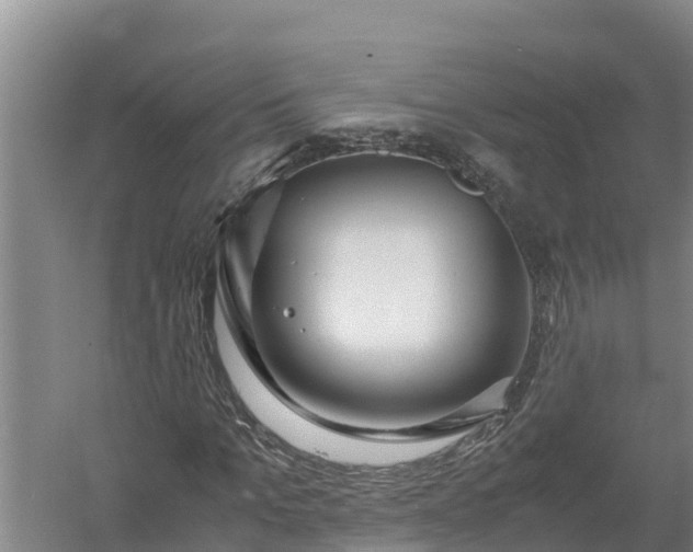 X0000058130965200509301948