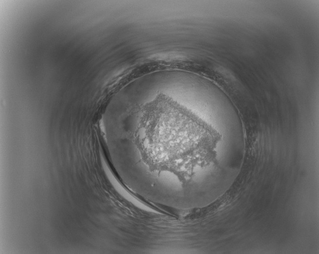 X0000058130966200509301948