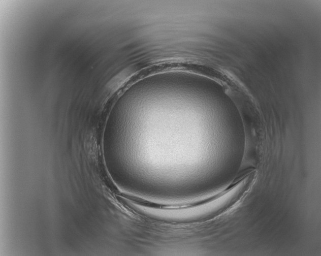 X0000058130969200509301948