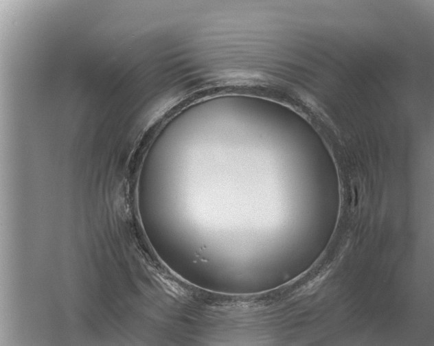 X0000058130970200509301948