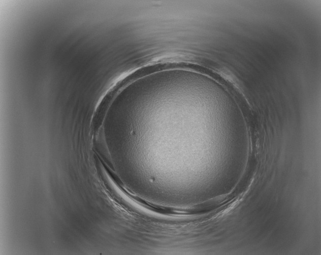 X0000058130973200509301948