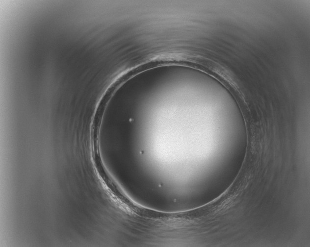 X0000058130984200509301948