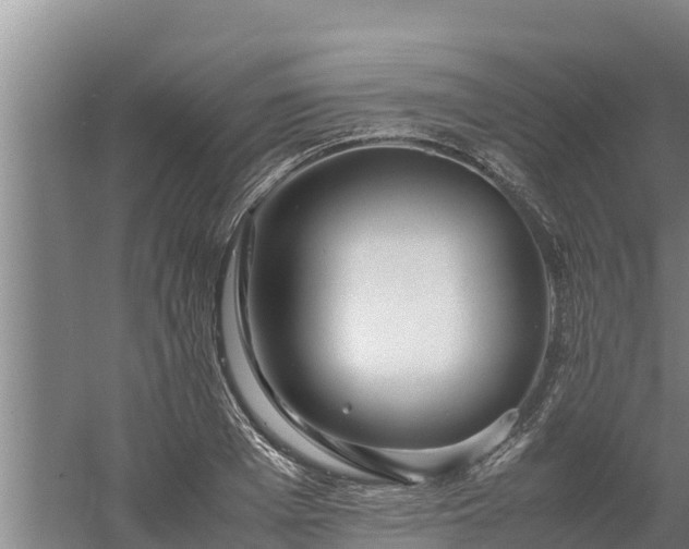 X0000058130985200509301948