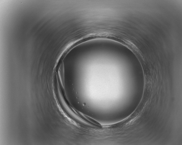 X0000058130989200509301948