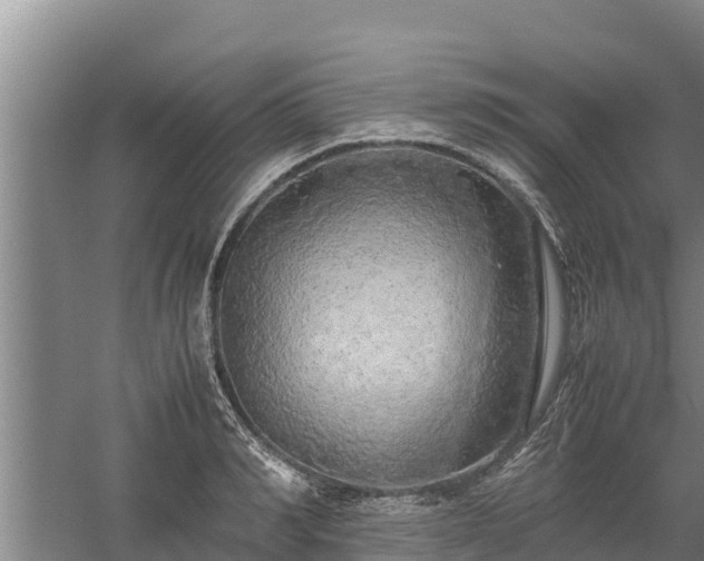 X0000058130990200509301948