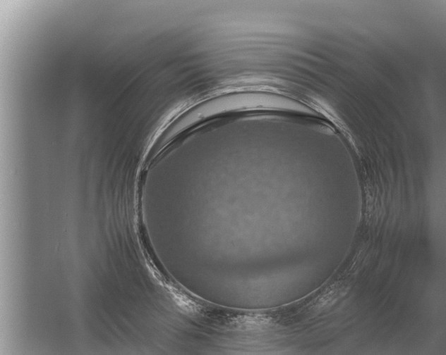 X0000058130994200509301948