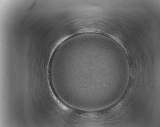 X0000058130995200509301948