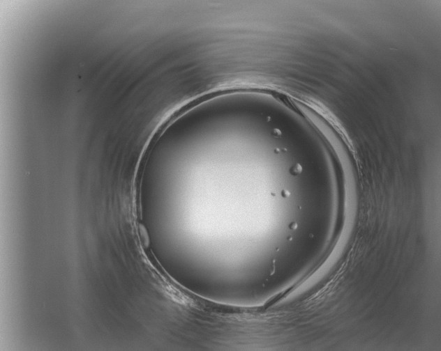 X0000058130996200509301948