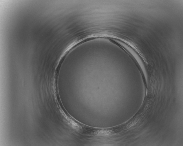 X0000058130998200509301948