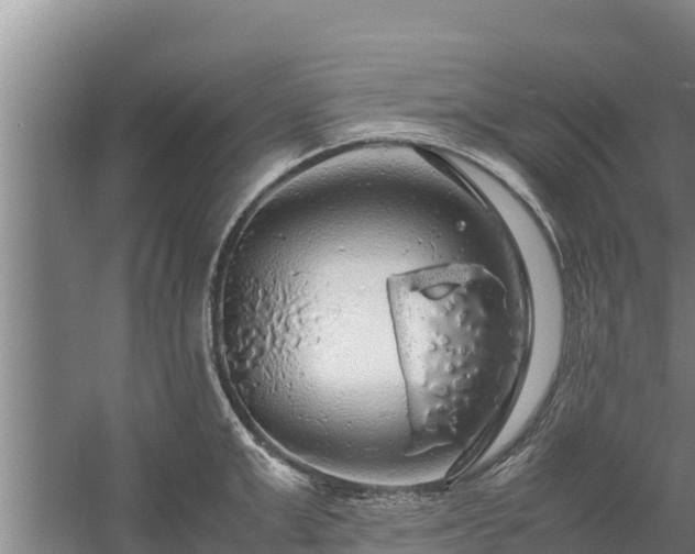 X0000058130999200509301948