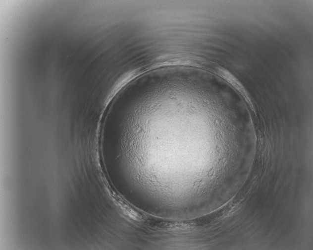 X0000058131002200509301948