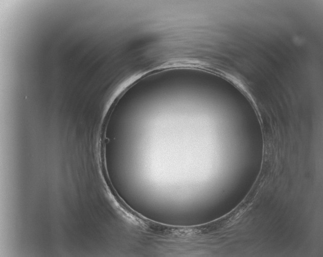 X0000058131003200509301948